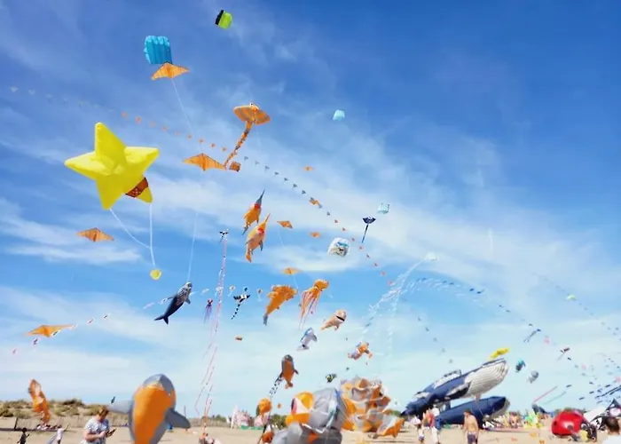 別荘 Maison De - 4 - Portiragnes-plage ポルティラーニュ